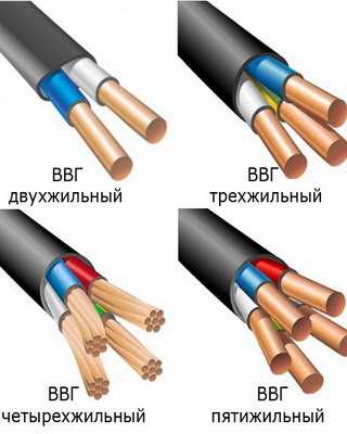 жилах