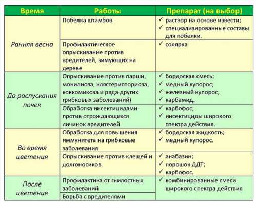 Графік обробки винограду навесні