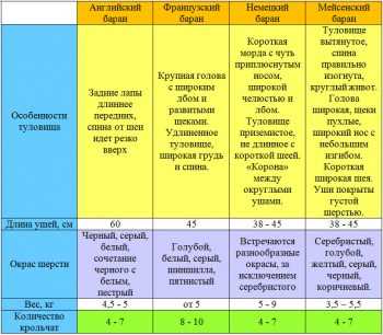 Порівняння стандартів кролячих порід