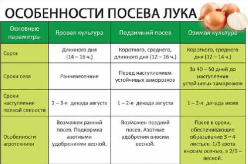 Таблиця, яка допоможе кожному городникові якісно посадити цибулю і отримати великий урожай