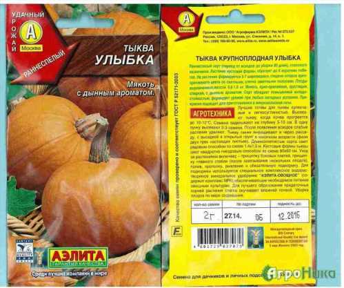 Одна з найпопулярніших сортів гарбуза – «Гарбуза Посмішка»