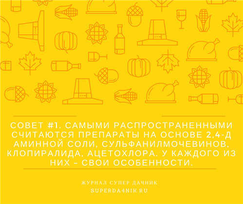 рада для садівника в інфографіці