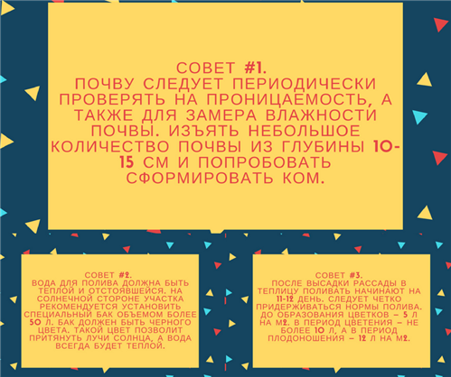 Поради з поливання томатів в інфографіці