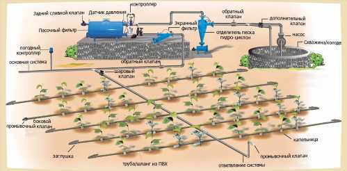 Схема розводки крапельних стрічок